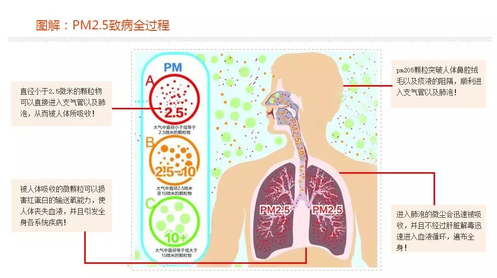 640.webp (4).jpg 640.webp (4).jpg